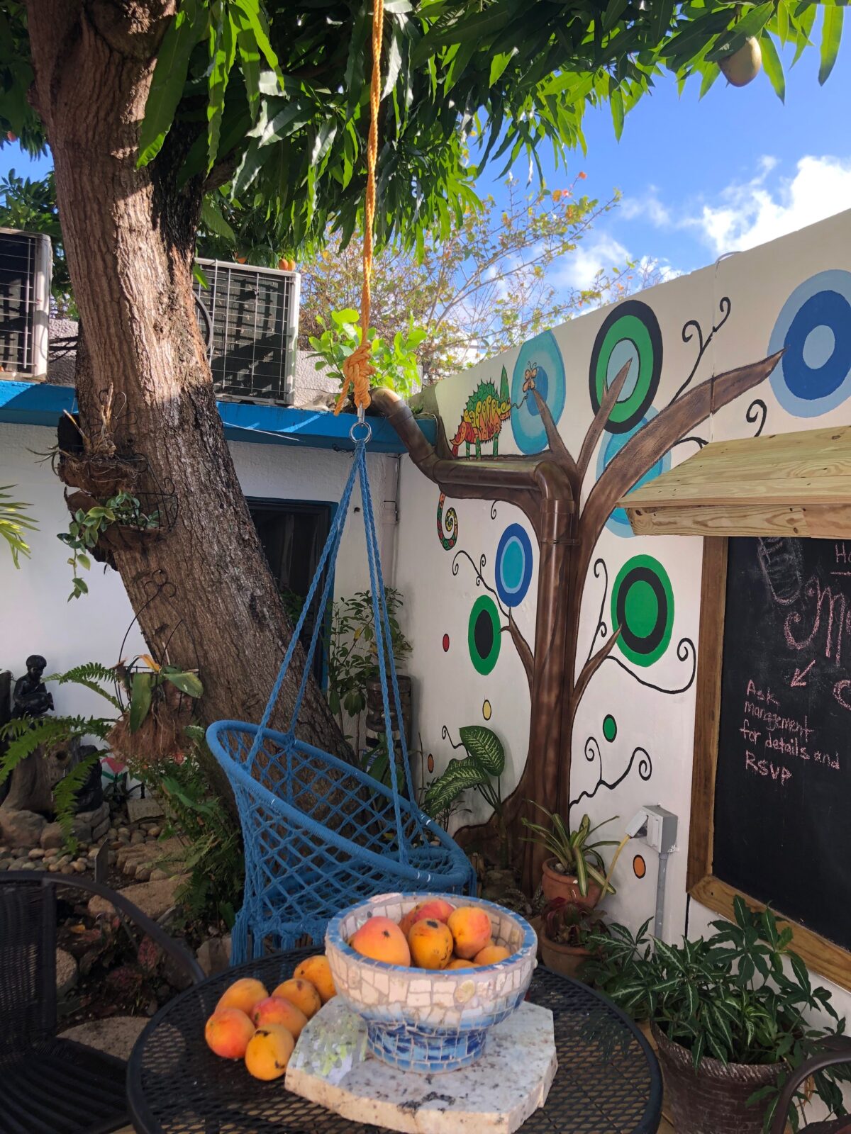 mango tree with grafiti wall